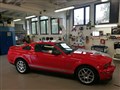 IMG_20170830_164307.jpg