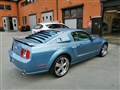 mustang.jpg